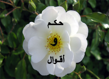 حكم واقوال من حياتنا المعاصرة